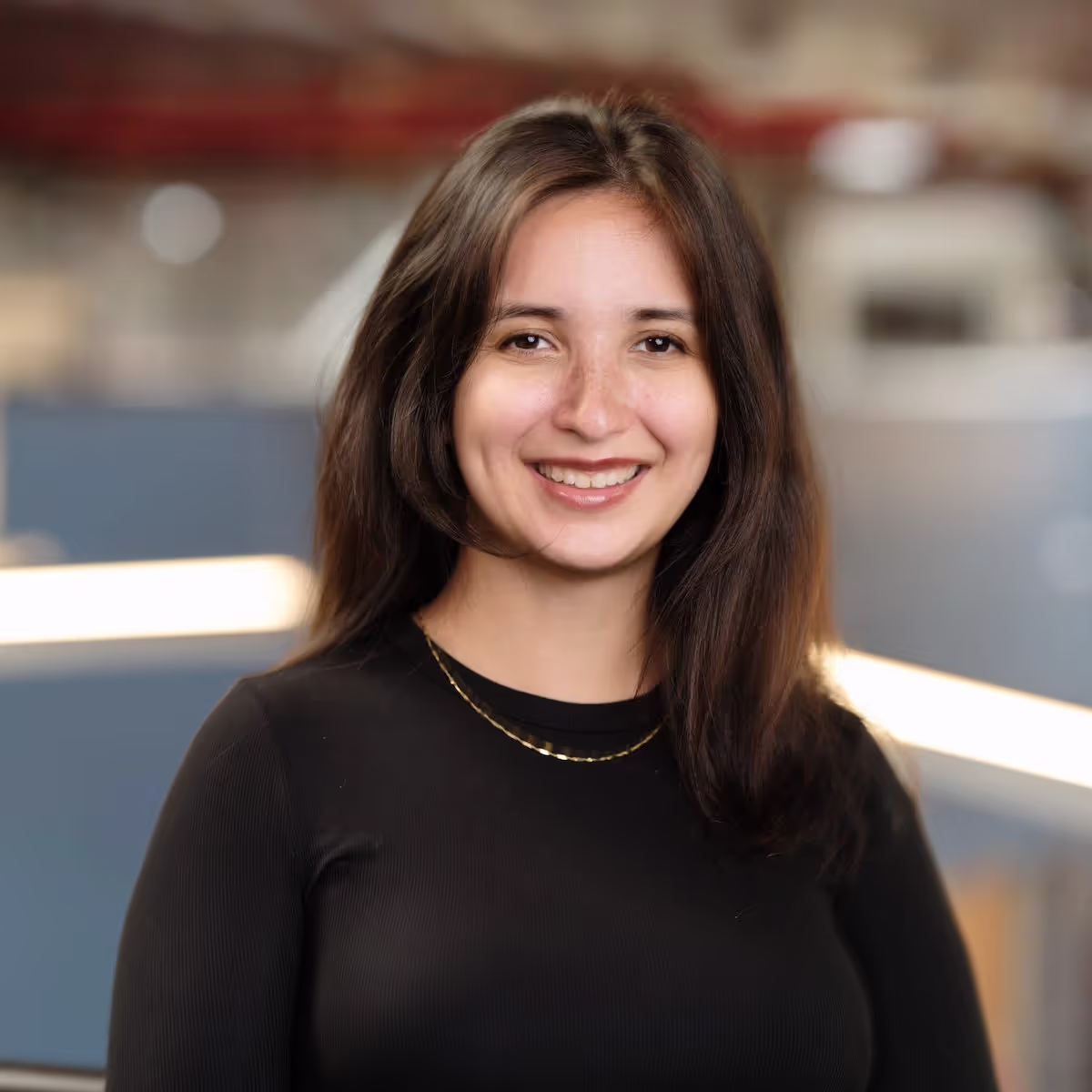 Marissa Ramirez de Chanlatte, Principal